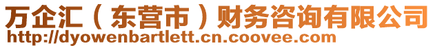 萬(wàn)企匯（東營(yíng)市）財(cái)務(wù)咨詢有限公司