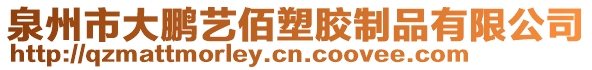 泉州市大鵬藝佰塑膠制品有限公司