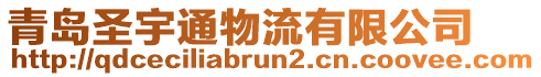 青島圣宇通物流有限公司