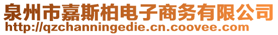 泉州市嘉斯柏電子商務(wù)有限公司