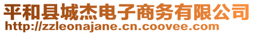 平和縣城杰電子商務(wù)有限公司