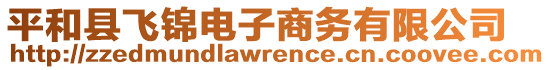 平和縣飛錦電子商務(wù)有限公司