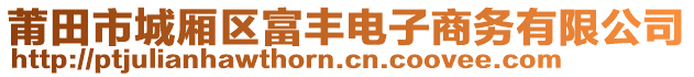 莆田市城厢区富丰电子商务有限公司