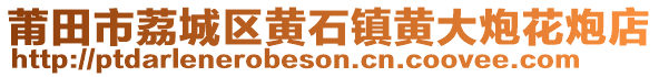 莆田市荔城區(qū)黃石鎮(zhèn)黃大炮花炮店