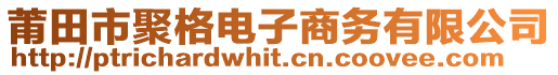 莆田市聚格電子商務(wù)有限公司