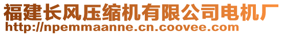 福建長風(fēng)壓縮機有限公司電機廠