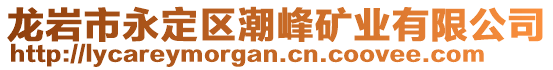 龍巖市永定區(qū)潮峰礦業(yè)有限公司