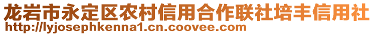 龙岩市永定区农村信用合作联社培丰信用社