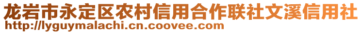 龙岩市永定区农村信用合作联社文溪信用社