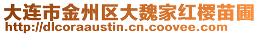 大連市金州區(qū)大魏家紅櫻苗圃