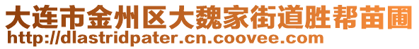 大連市金州區(qū)大魏家街道勝幫苗圃