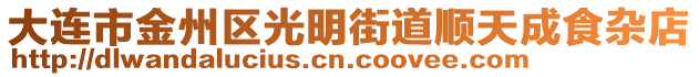 大連市金州區(qū)光明街道順天成食雜店