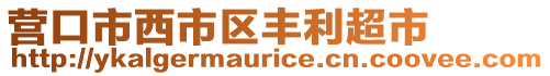 營口市西市區(qū)豐利超市