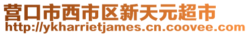 營口市西市區(qū)新天元超市