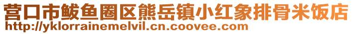 营口市鲅鱼圈区熊岳镇小红象排骨米饭店