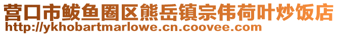 营口市鲅鱼圈区熊岳镇宗伟荷叶炒饭店