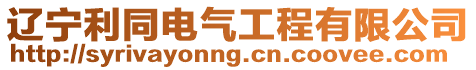 遼寧利同電氣工程有限公司