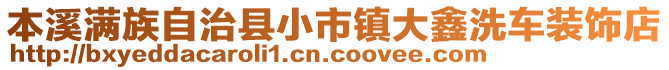 本溪滿族自治縣小市鎮(zhèn)大鑫洗車裝飾店