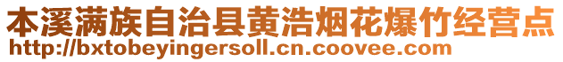 本溪滿(mǎn)族自治縣黃浩煙花爆竹經(jīng)營(yíng)點(diǎn)