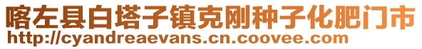 喀左縣白塔子鎮(zhèn)克剛種子化肥門市