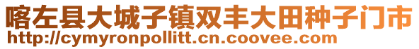 喀左縣大城子鎮(zhèn)雙豐大田種子門市