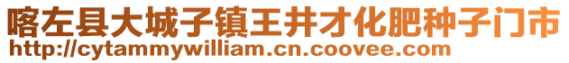 喀左縣大城子鎮(zhèn)王井才化肥種子門市