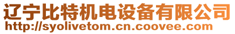 遼寧比特機電設(shè)備有限公司