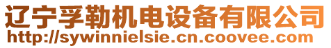 遼寧孚勒機(jī)電設(shè)備有限公司