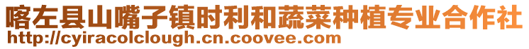喀左縣山嘴子鎮(zhèn)時(shí)利和蔬菜種植專業(yè)合作社