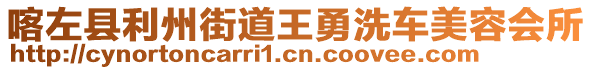 喀左縣利州街道王勇洗車美容會所