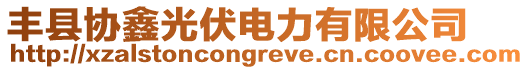 豐縣協(xié)鑫光伏電力有限公司