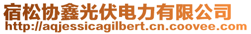 宿松協(xié)鑫光伏電力有限公司