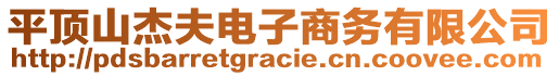 平頂山杰夫電子商務(wù)有限公司