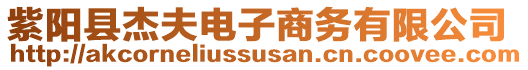 紫陽縣杰夫電子商務(wù)有限公司