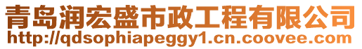 青島潤宏盛市政工程有限公司