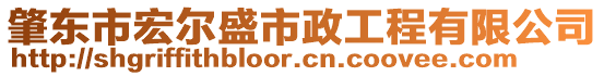 肇東市宏爾盛市政工程有限公司