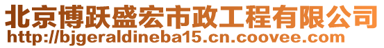 北京博躍盛宏市政工程有限公司