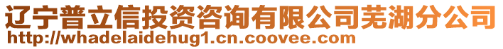 遼寧普立信投資咨詢有限公司蕪湖分公司