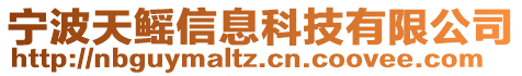 寧波天鰩信息科技有限公司