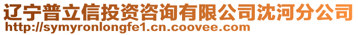 遼寧普立信投資咨詢有限公司沈河分公司