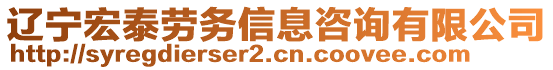 遼寧宏泰勞務(wù)信息咨詢有限公司