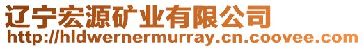 遼寧宏源礦業(yè)有限公司