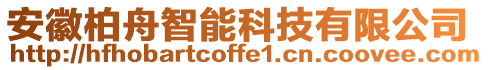 安徽柏舟智能科技有限公司