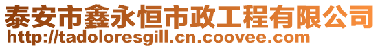 泰安市鑫永恒市政工程有限公司