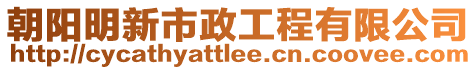 朝陽明新市政工程有限公司