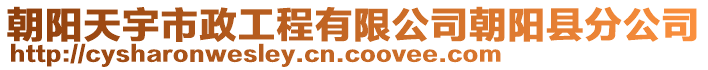 朝陽天宇市政工程有限公司朝陽縣分公司