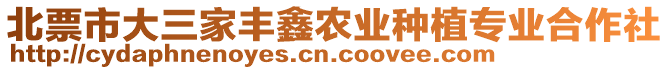 北票市大三家豐鑫農(nóng)業(yè)種植專(zhuān)業(yè)合作社