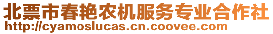 北票市春艷農(nóng)機(jī)服務(wù)專業(yè)合作社