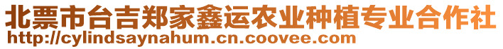 北票市臺吉鄭家鑫運(yùn)農(nóng)業(yè)種植專業(yè)合作社