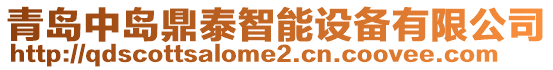 青島中島鼎泰智能設備有限公司